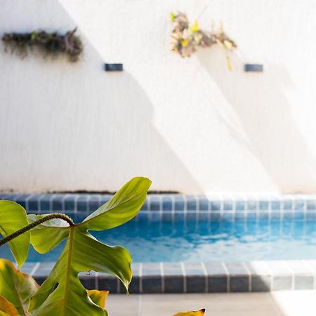 Casa Kayak - Villa Remo Milagres Piscina Privativa São Miguel dos Milagres Dış mekan fotoğraf