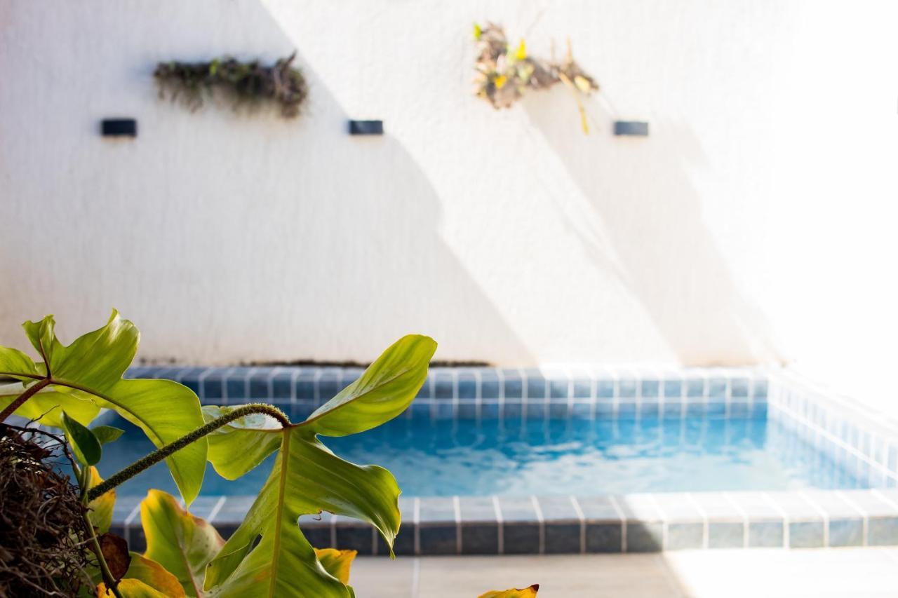 Casa Kayak - Villa Remo Milagres Piscina Privativa São Miguel dos Milagres Dış mekan fotoğraf